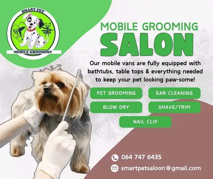 Dog grooming comb
