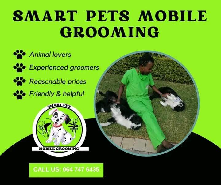 Groomer with dog